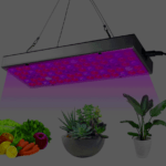 Полезный свет для растений